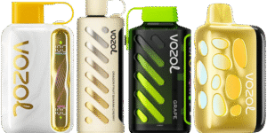 vozol-alt-bar-cesitler