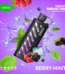 Vozol Gear Shisha 25000 Berry Mint