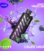 Vozol Gear Shisha 25000 Grape Mint