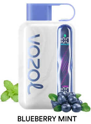 Vozol Star 40000 Blueberry Mint