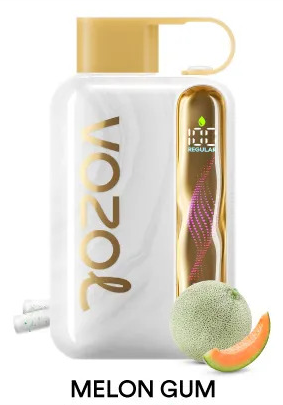 Vozol Star 40000 Melon Gum