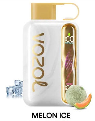 Vozol Star 40000 Melon Ice