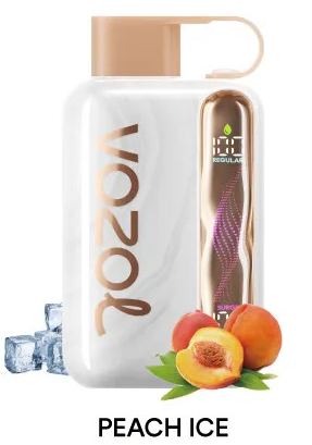 Vozol Star 40000 Peach Ice